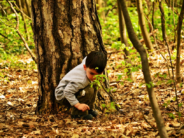 One Crucial Thing Your Kids Need Is Something You Can’t Give Them (Directly) purpose boy in woods use this