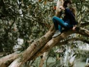 Did You Hear About us on NPR’s Morning Edition Today? unsplash girl in tree by anniesplatt