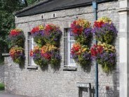 The murdered man was trying to catch the kids vandalizing his plants.