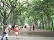 Don't these poor people know they are DOOMED here in crime-escalating Central Park?