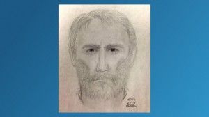 Police sketch of the Alexandria, VA killer.