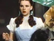 The Wizard of Oz: Honorary Free-Ranger Lions and tigers and bears are nothing compared to predators, plastic and disappointing playdates!