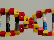It’s LEGOLAND not PEDO-LAND Yikes -- is this adult DNA? Get it away from the kids!!!!