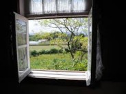 Enough About the Short “Window” of Time Kids Have to Learn One Skill or Another! Windows stay wide open in a child's life.