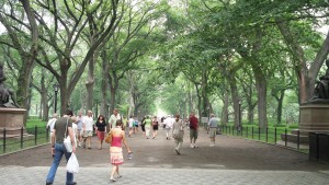 Central Park sure looks scary!