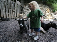 Stay away from my kid! (Says the goat.) 
