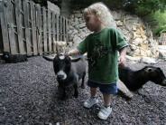 When Playgrounds and Amusements Ban Adults without Kids Stay away from my kid! (Says the goat.)