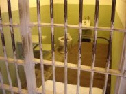 Claiming “I’m Innocent!” No Longer Automatically Precludes Parole Say you're innocent and settle in for a longer stay.