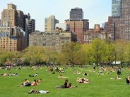 “Leave Your Kids at the Park” Day is SATURDAY: Spread the Word! I'll be at 85th and Fifth for "Take Our Children to the Park" day this Saturdat at 10 a.m., with Peter Gray!