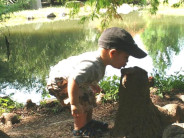 Treating Nature Like a Snooty Museum Quit harassing that stump!