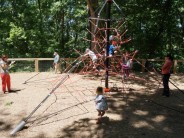 No Child Left Un-assisted: A Day at the Playground "Oliver! To step down, put one foot lower than the other and have your body follow."