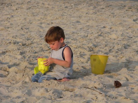 beach boy