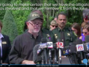 Of Alligators, Gorillas, Tragedy and Blame The tragedy unfolds.
