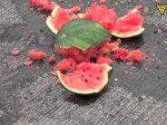 Smash enough watermelons and biking starts to look like bungee jumping into cement. 