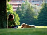 “We Did Everything Right in Our Seemingly Safe Neighborhood and Yet, It Happened” Mom regrets letting daughter walk dog...even though the daughter was fine.