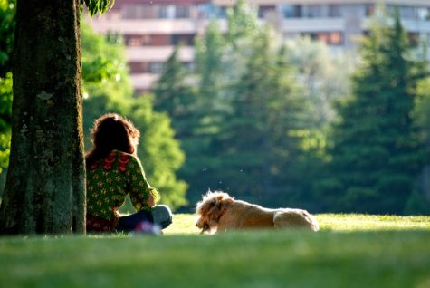 Mom regrets letting daughter walk dog...even though the daughter was fine. 