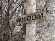 How to Keep Kids Safe, By a Woman Raped at 15 Wisdom comes from experience. Experience is hard.