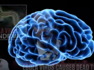 Brainwashed into Believing Things are Bad brainwash brain