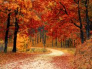“How to Deal with The Stress of Fall” Sooooo stressful!