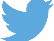 Mom Investigated for “Trafficking” Her Toddler, Thanks to Silly Tweet A little birdie called up Child Protective Services after a mom made a goofy tweet.