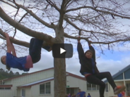 When A School Does Away with Recess Rules no rules recess