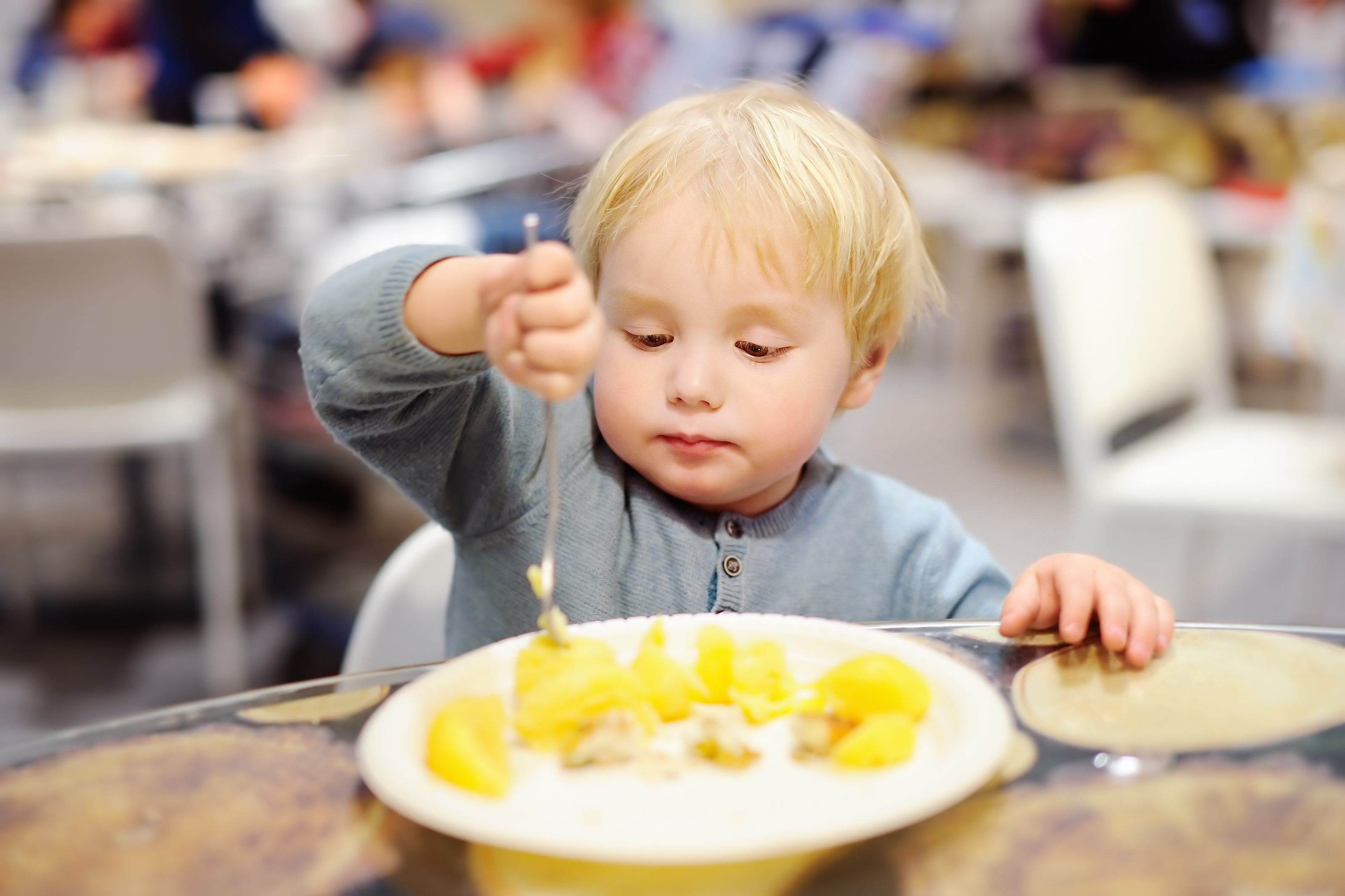 Cute toddler boy eating potatoes in indoors cafe