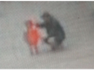 Zebra Sighted in British Parking Lot (or the Equivalent) abduction sussex police