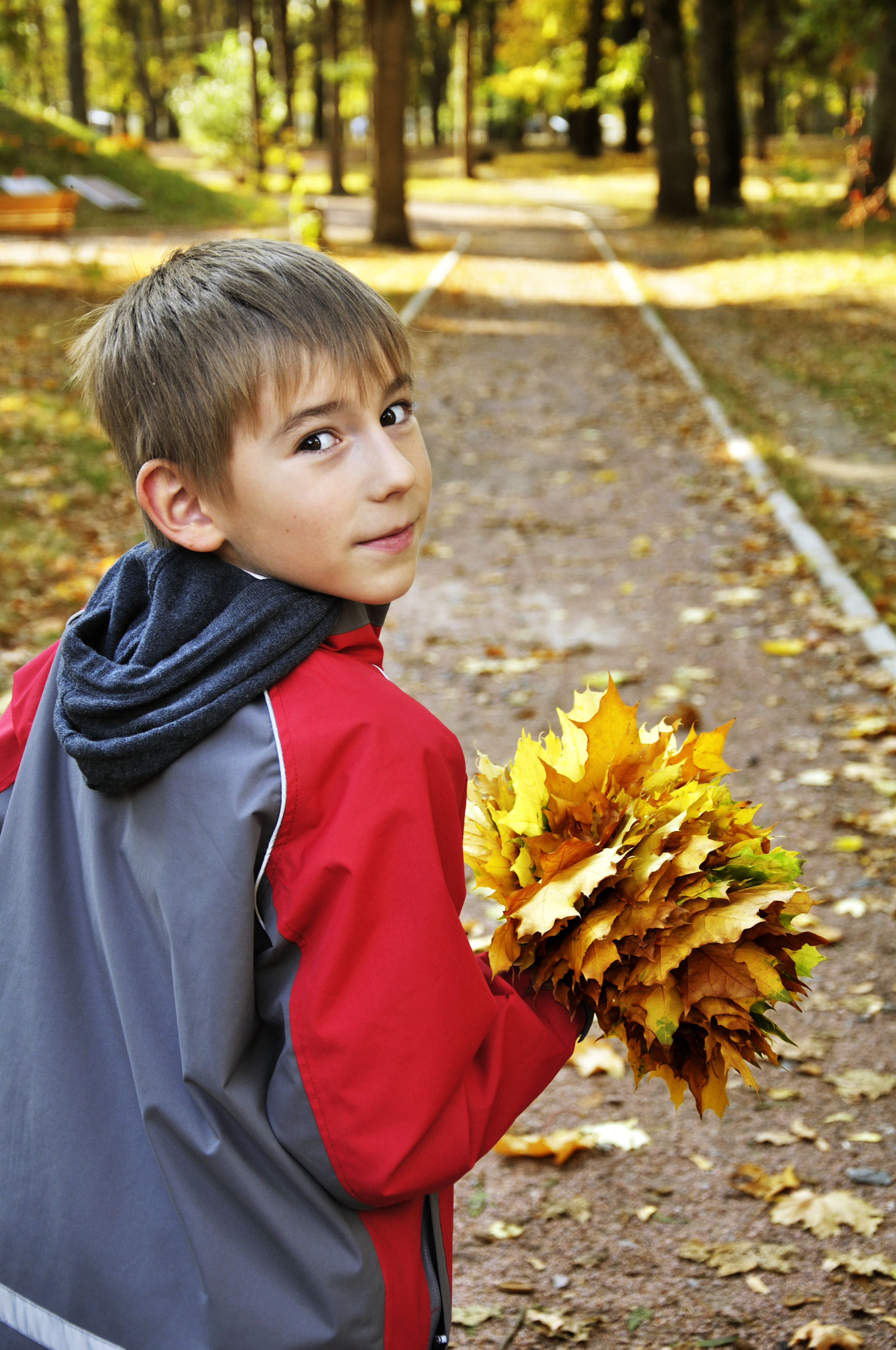 cute small boy with maple leaves in his hands in autumn park