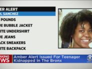 amber alert bronx