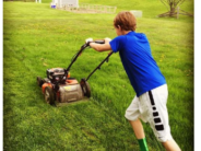 lawn mowing stacys son
