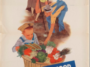 How DO You Start a Victory Garden? victory garden