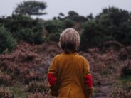 Why Two Oklahoma Representatives on Opposite Sides of the Aisle are Co-Sponsoring a Free-Range Kids Bill unsplash boy from behind looking pensively at woods annie-spratt-nPVTD3Bkso8-unsplash