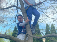 Why a Mom Changed Her Mind About Letting Her Sons Climb a Tree eaddy sons in tree